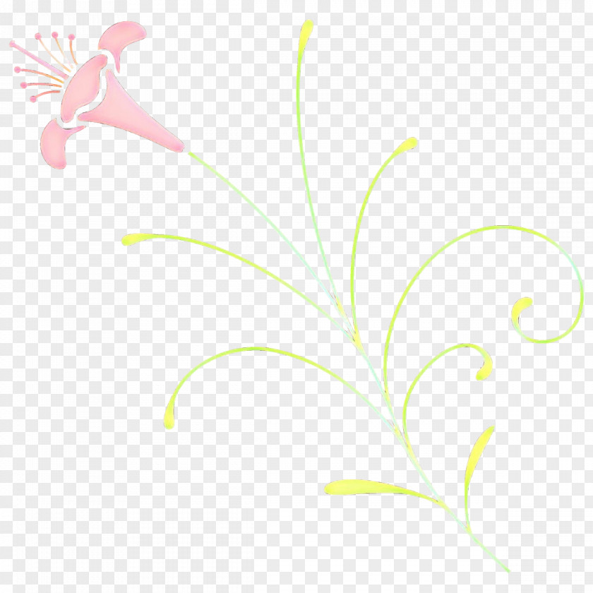 Leaf Plant Pedicel Flower Grass PNG