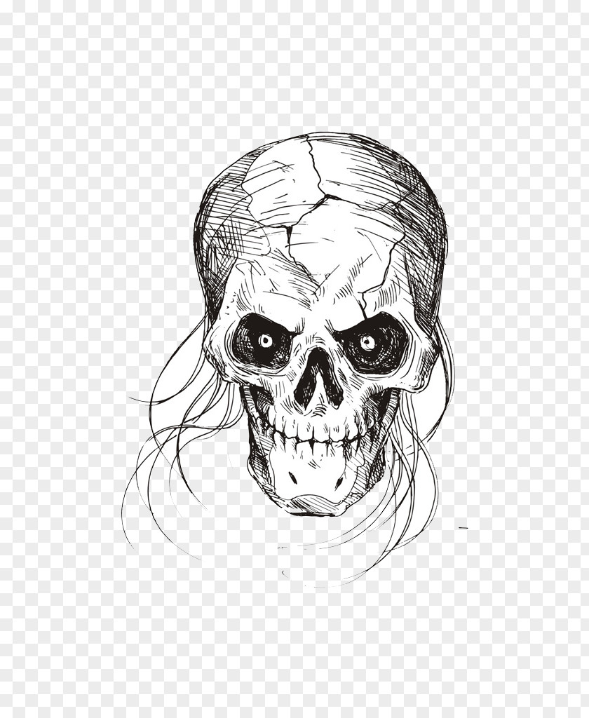 Skeleton Sketch Drawing Black And White PNG