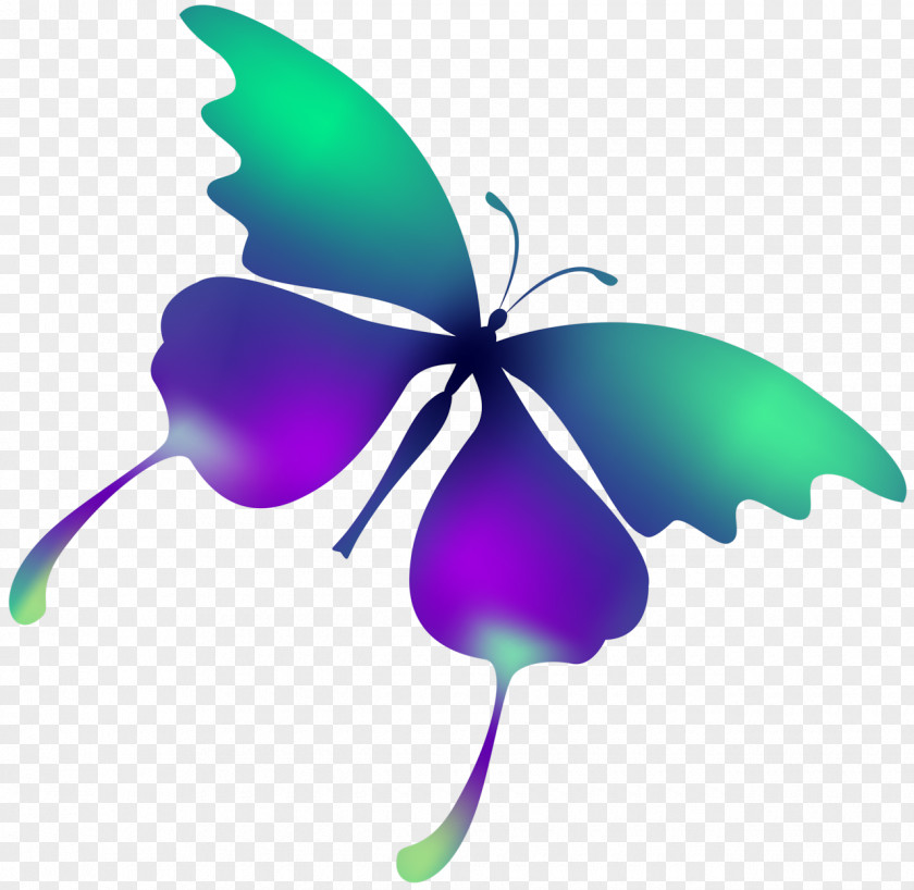 Butterflies Butterfly Clip Art PNG