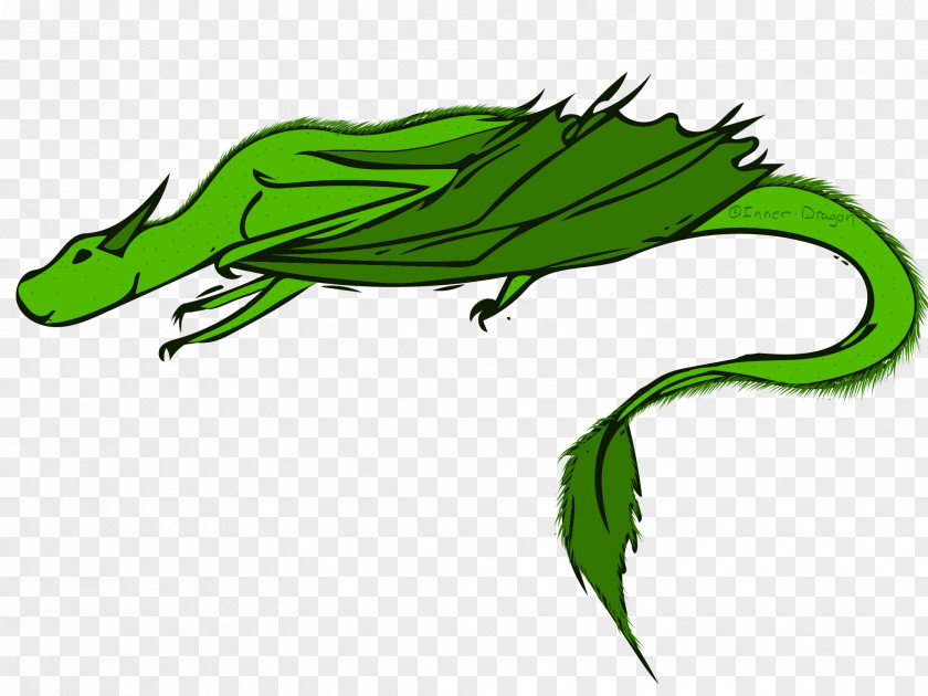 Frog Reptile Dragon Clip Art PNG