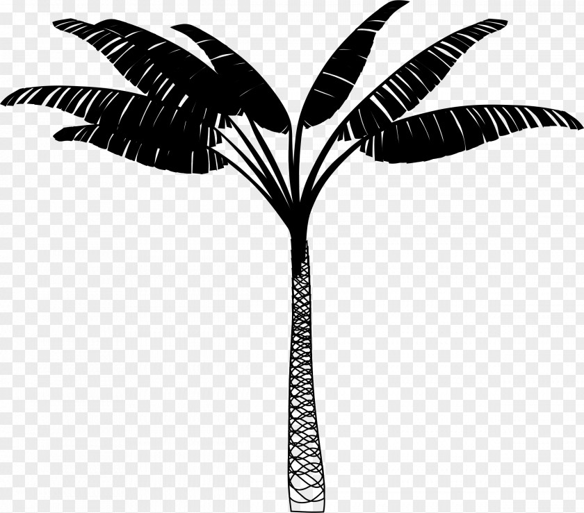 Kawani Resort Palm Trees Accommodation Nacala PNG