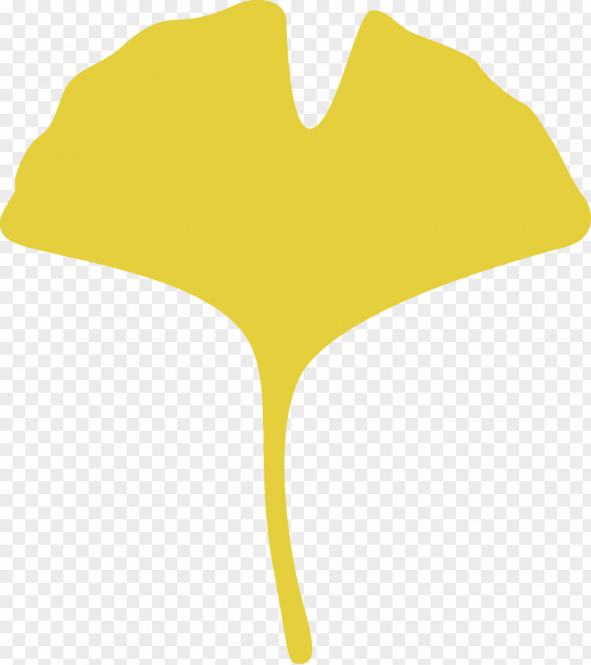 Logo Plant Ginkgo Leaf Gingko Maidenhair PNG