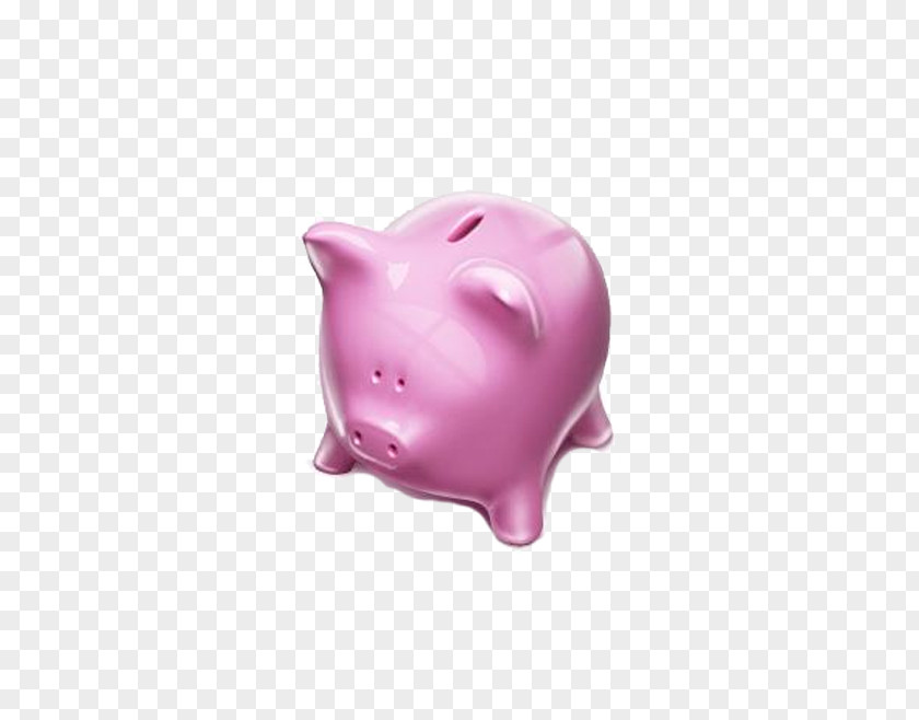 Piggy Bank ICO Money Icon PNG