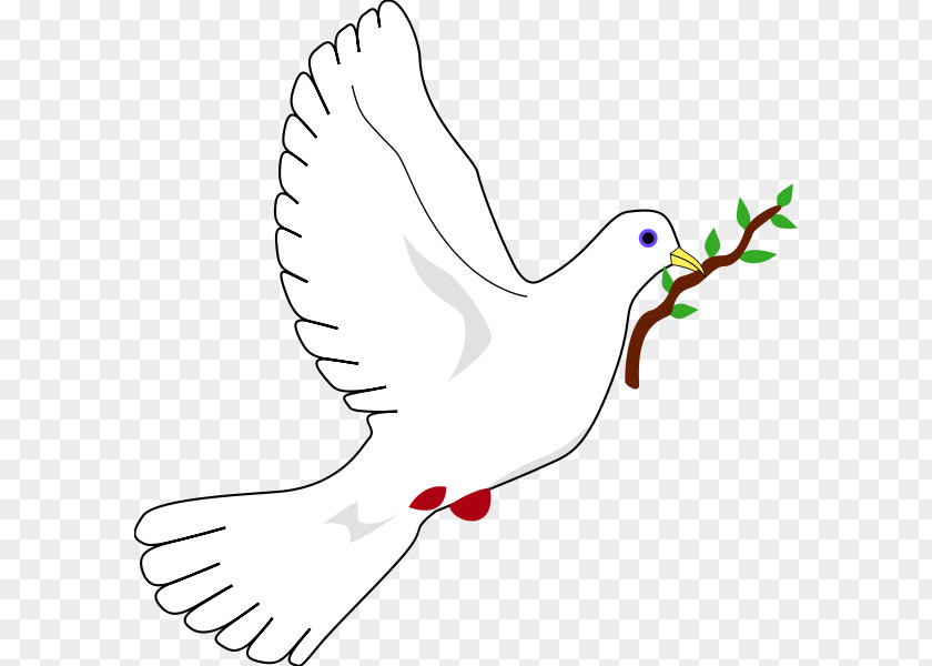 The Dove Of Peace Columbidae Doves As Symbols PNG