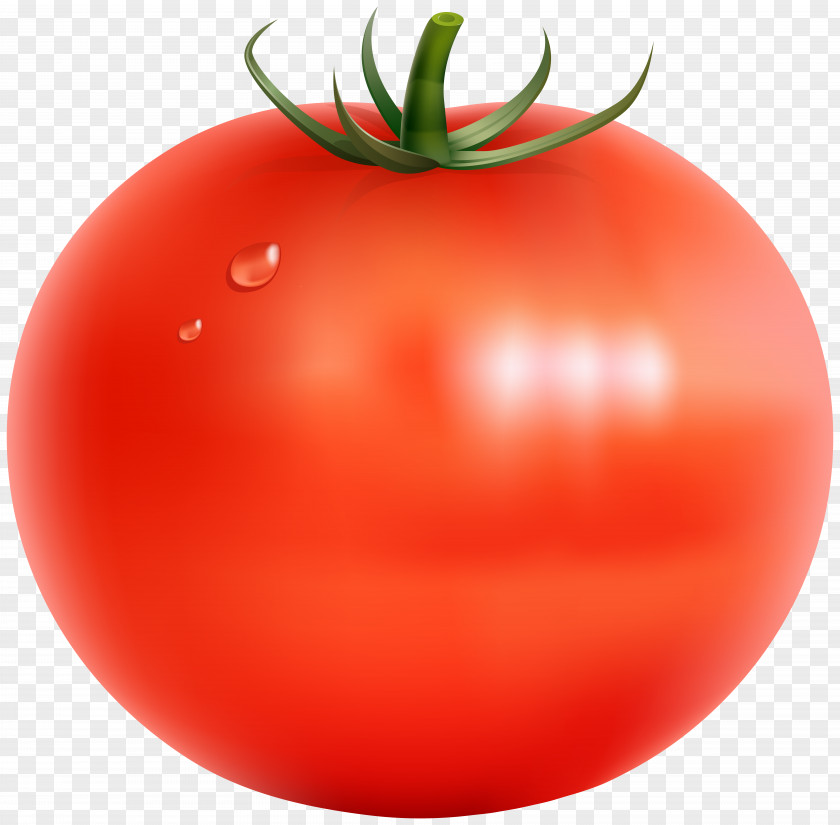 Tomato Transparent Clip Art Image Vegetable PNG