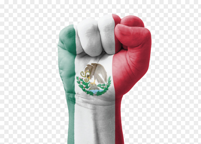 Alain Mikli Flag Of Mexico Stock Photography Royalty-free PNG