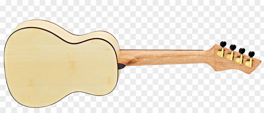 Amancio Ortega Ukulele Musical Instruments Guitar Fingerboard String PNG