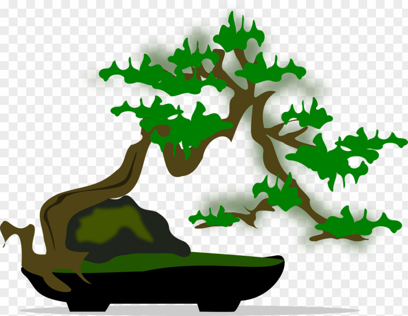 Tree Bonsai Houseplant Clip Art PNG