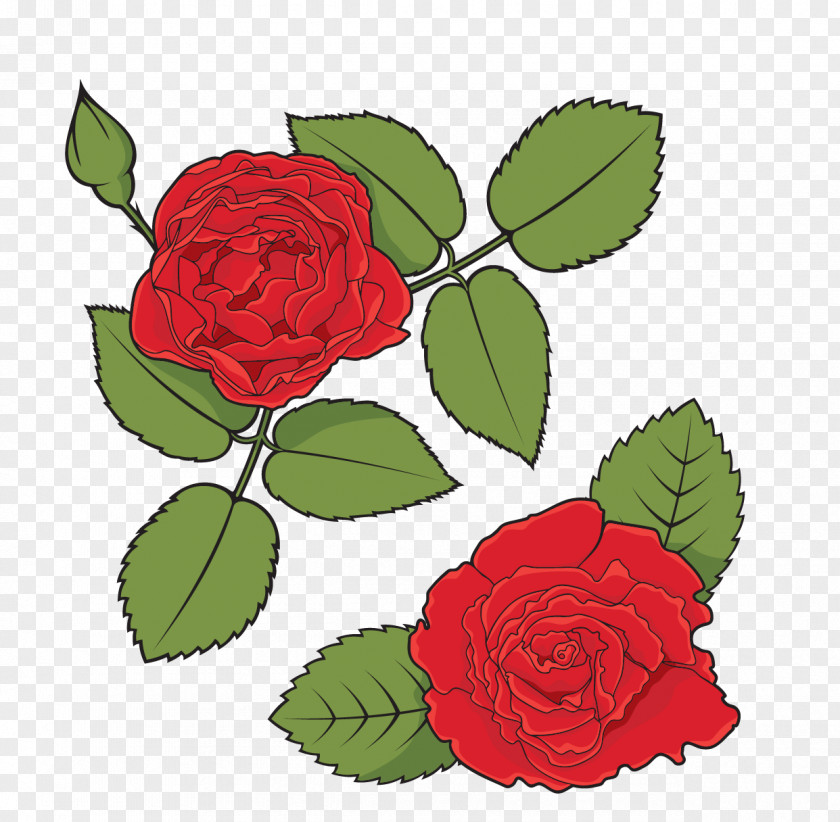 Cartoon Vector Roses Rose Stock Photography Royalty-free Illustration PNG