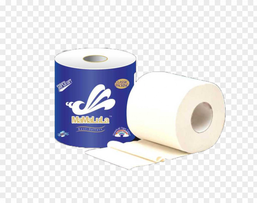 Daily Health Rolls Toilet Paper Packaging And Labeling PNG