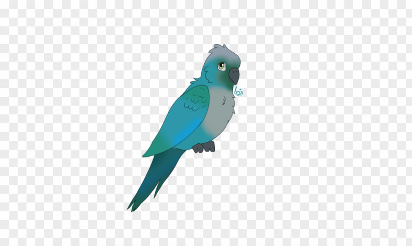 Feather Lovebird Macaw Parakeet Cobalt Blue PNG