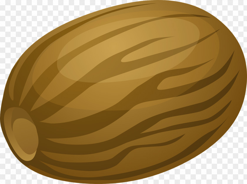 Nut Clipart Nutmeg Vector Graphics Fruit Spice PNG