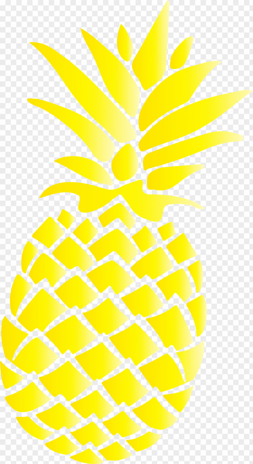 Pineapple Tropical Summer PNG