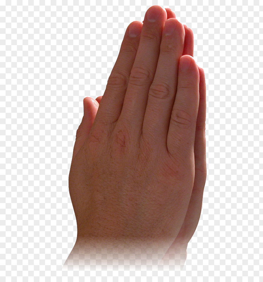 Seek Genuine Knowledge Praying Hands Prayer God Child Religion PNG