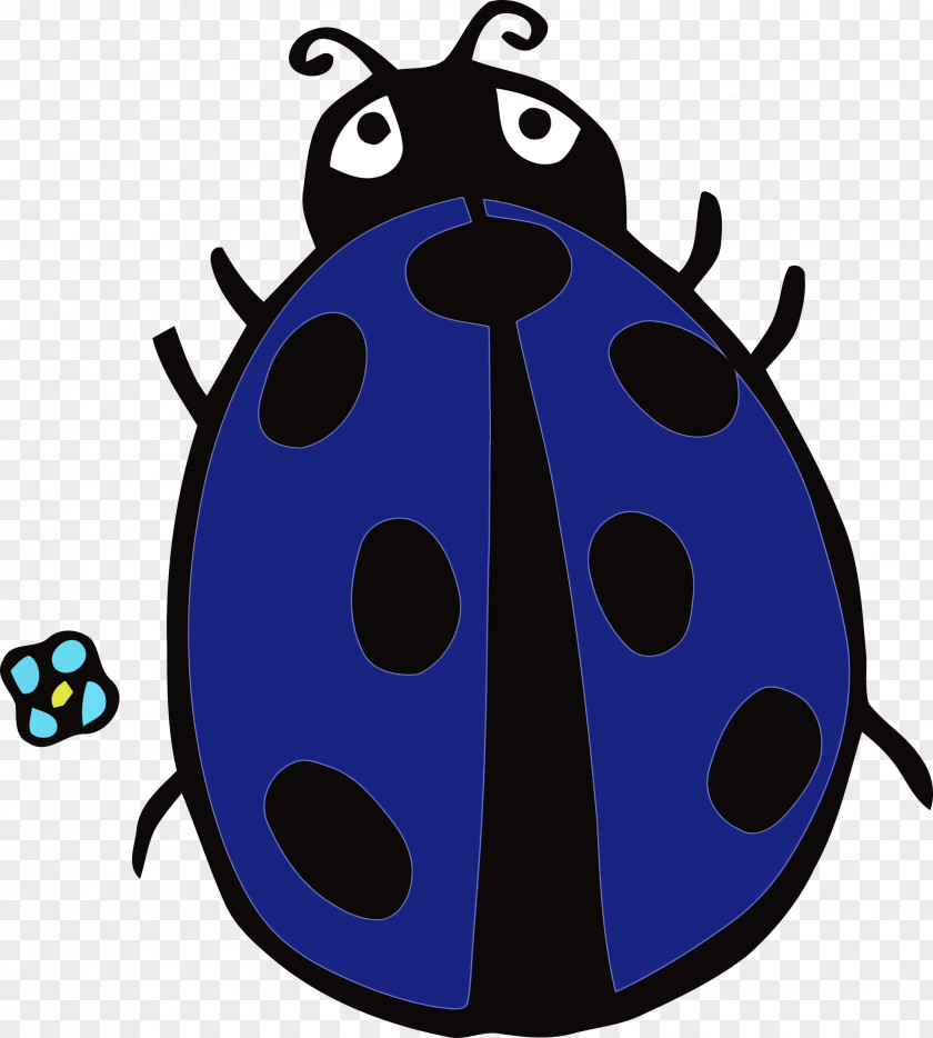 Cartoon Beetles Science Biology PNG