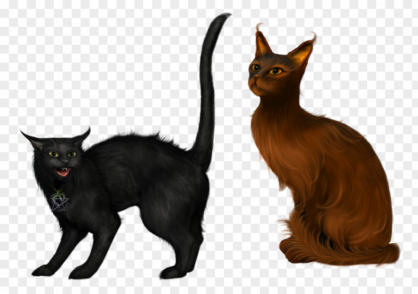 Cats Kurilian Bobtail Kitten Black Cat Clip Art PNG