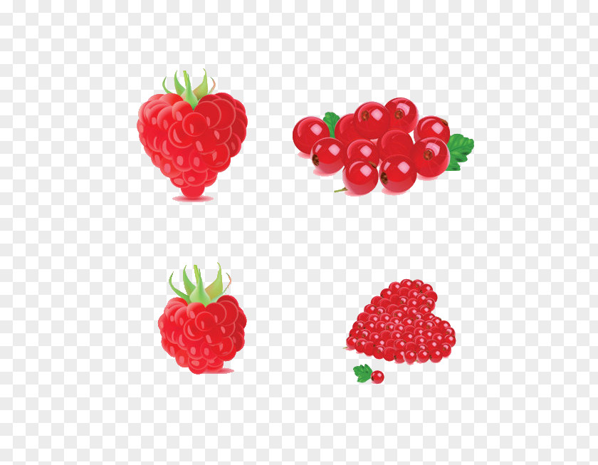 Raspberry Frutti Di Bosco Euclidean Vector Fruit PNG