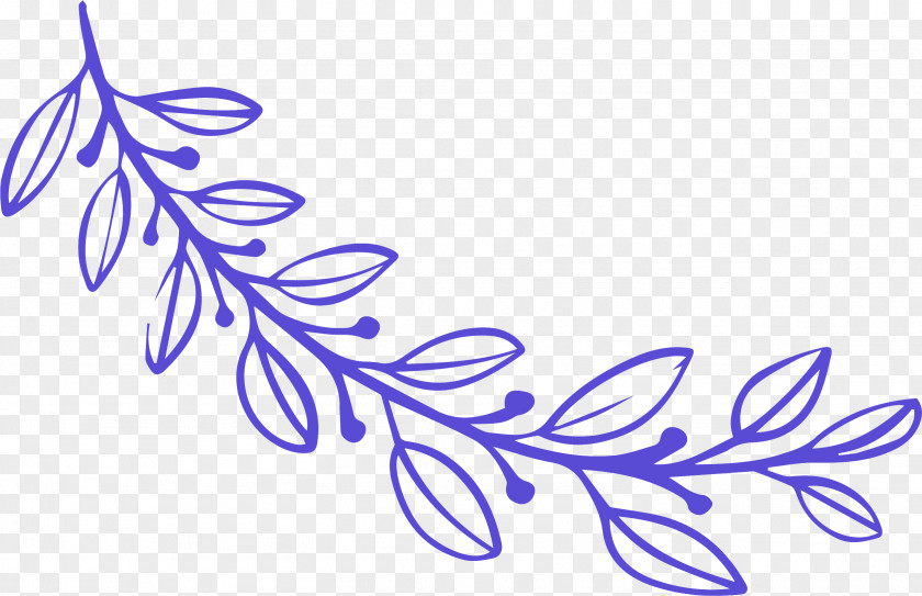 Simple Leaf Drawing Outline PNG