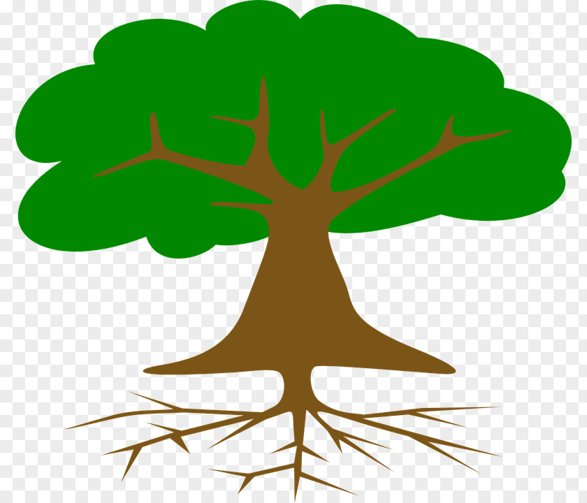 Tree Root Clip Art PNG