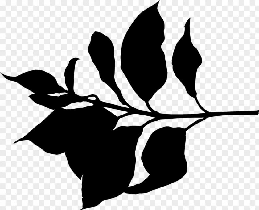Twig Clip Art Plant Stem Flower Leaf PNG