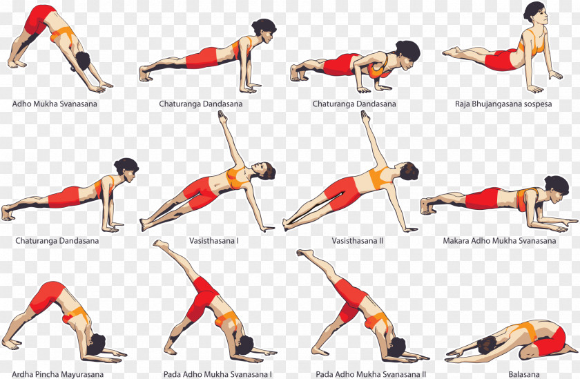 Yoga Vector Image Physical Exercise Asana Clip Art PNG