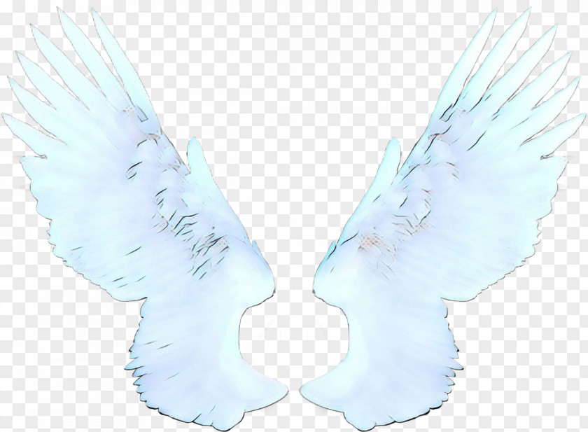 Angel Feather Cartoon Cloud PNG