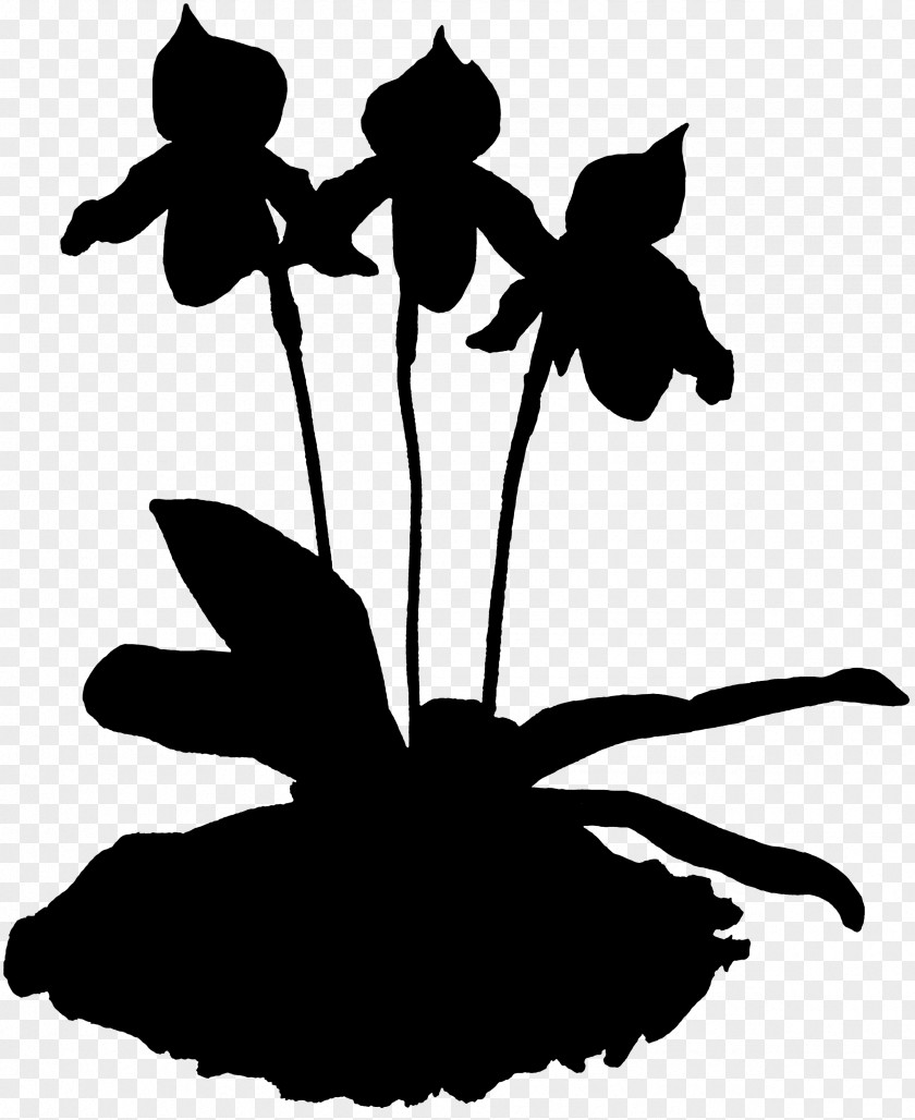 Clip Art Leaf Silhouette Plant Stem Flowering PNG