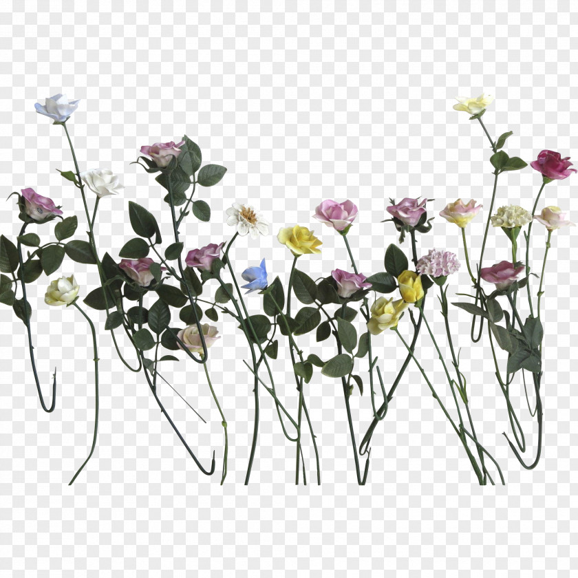 Daisy Cut Flowers Plant Stem Rose Porcelain PNG