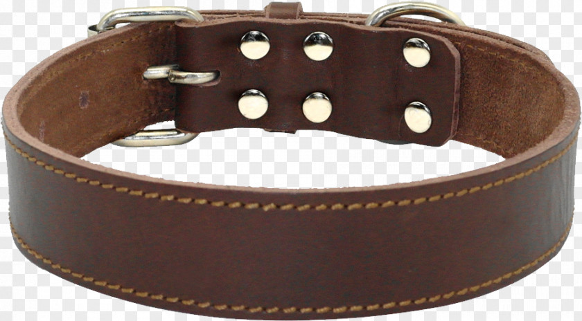 Dog Collar Leather Leash PNG