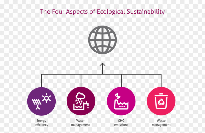 Ecological Health Theory Of Multiple Intelligences Inteligencia Intrapersonal Psychology PNG