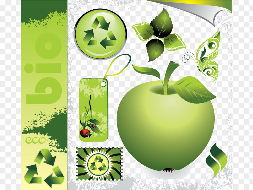 Environmental Green Living Apple Image Ecology Euclidean Vector Photography PNG
