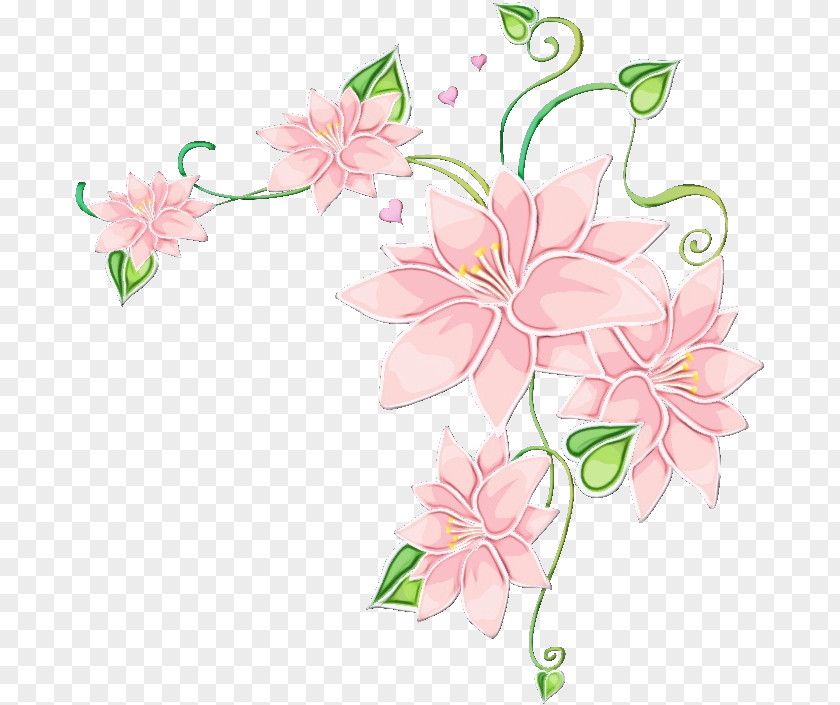Floral Design Flowering Plant PNG