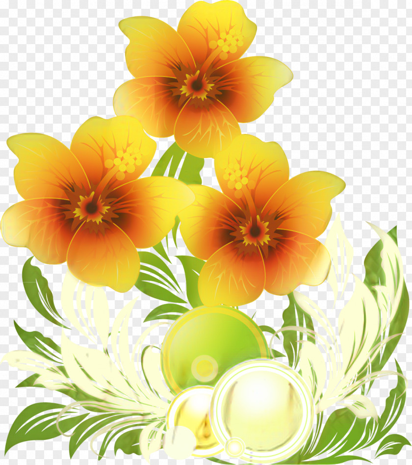 Floral Design Pansy Cut Flowers Petal PNG