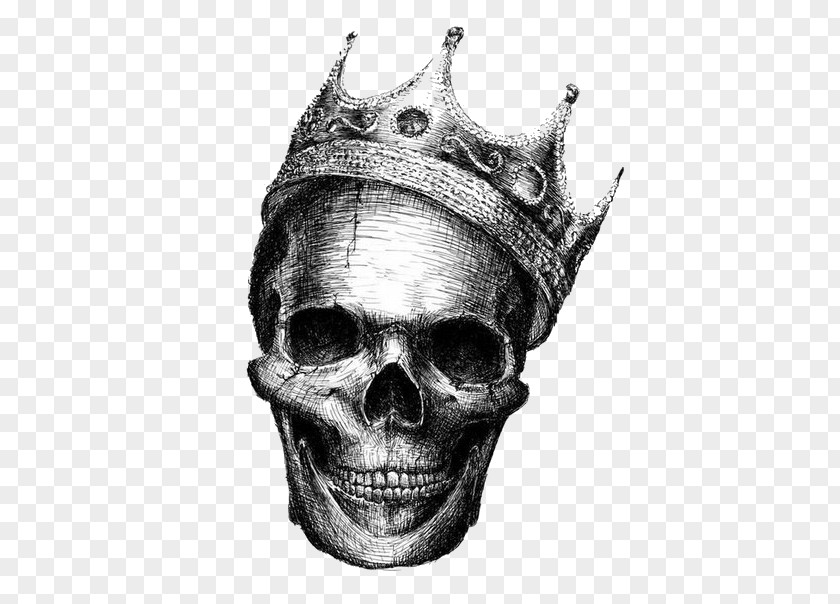 Skull Human Symbolism Drawing Desktop Wallpaper King PNG