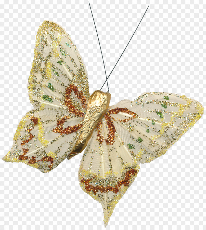 Butterfly Moth Insect PNG