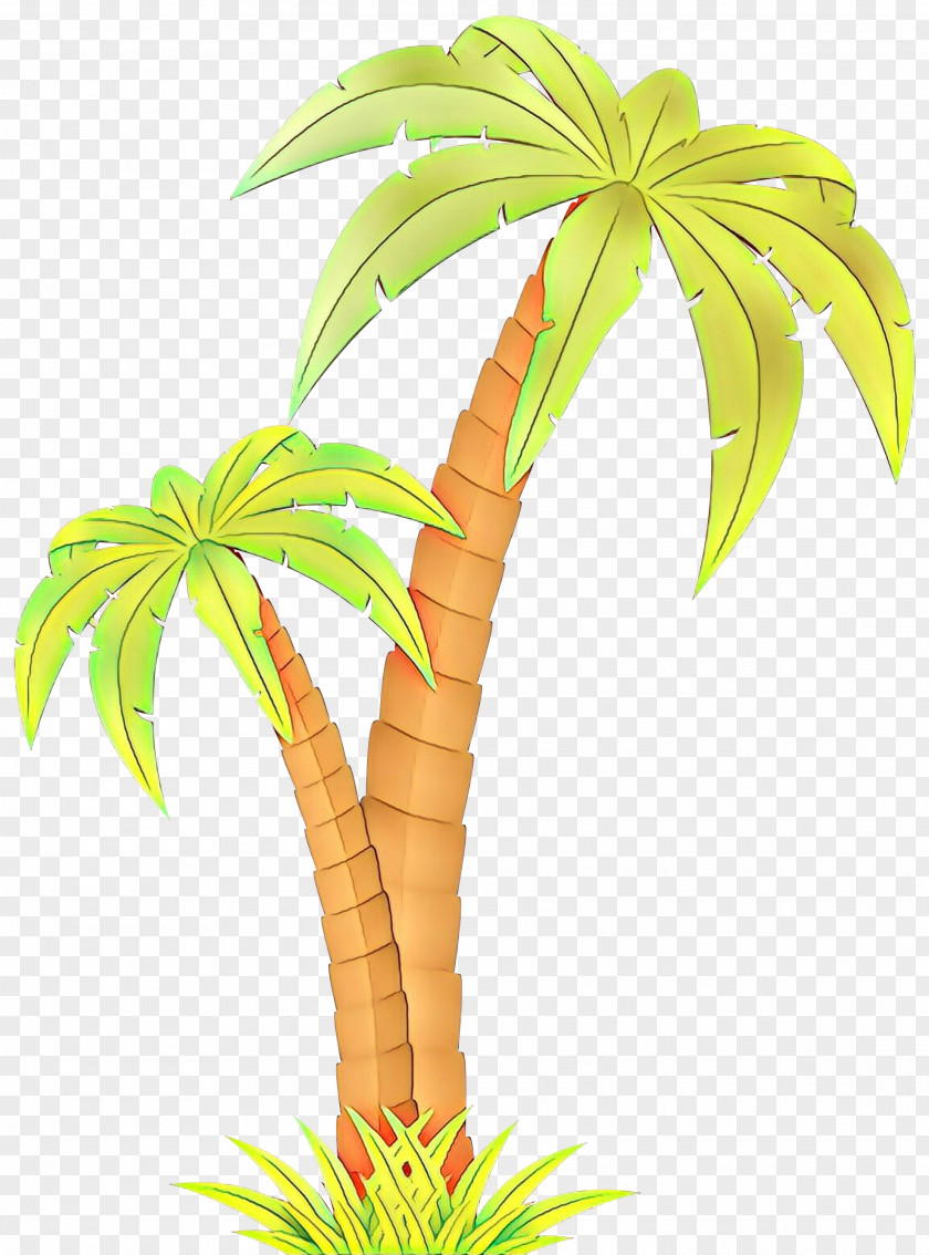 Clip Art Vector Graphics Image Palm Trees PNG