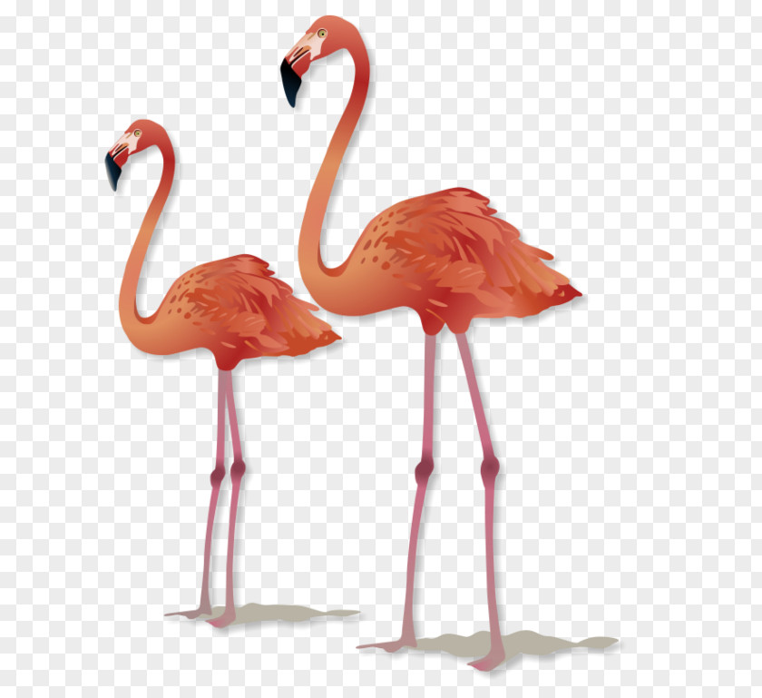 Flamingo Greater Maisons Du Monde Furniture Bedroom PNG