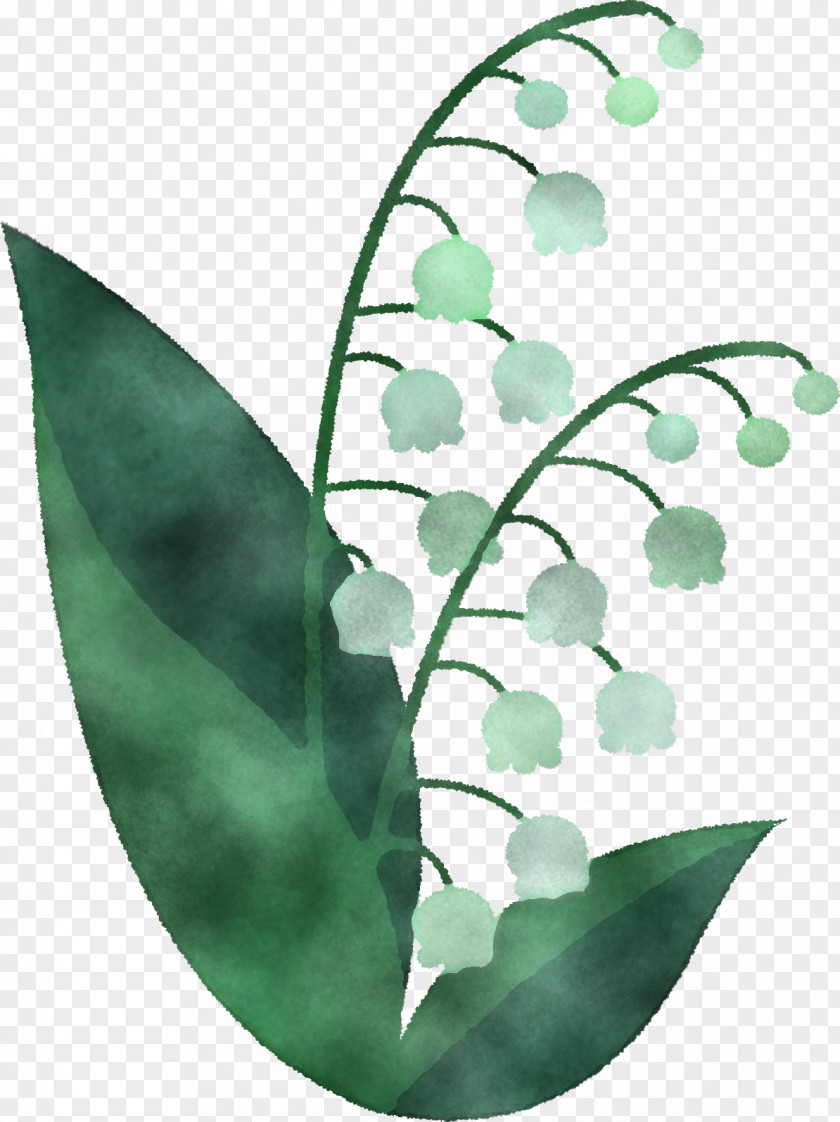 Floral Design PNG