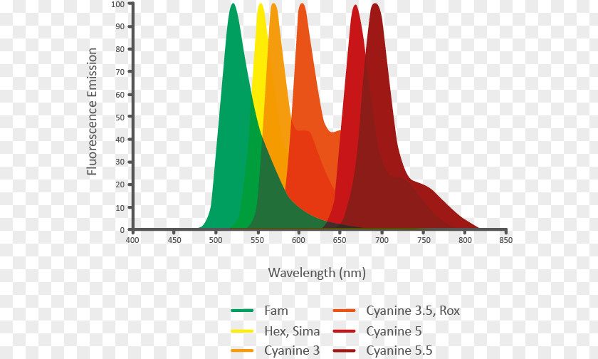 Fluorescent Dye Hex Fluorophore Fluorescence Oligonucleotide Hybridization Probe Emission Spectrum PNG