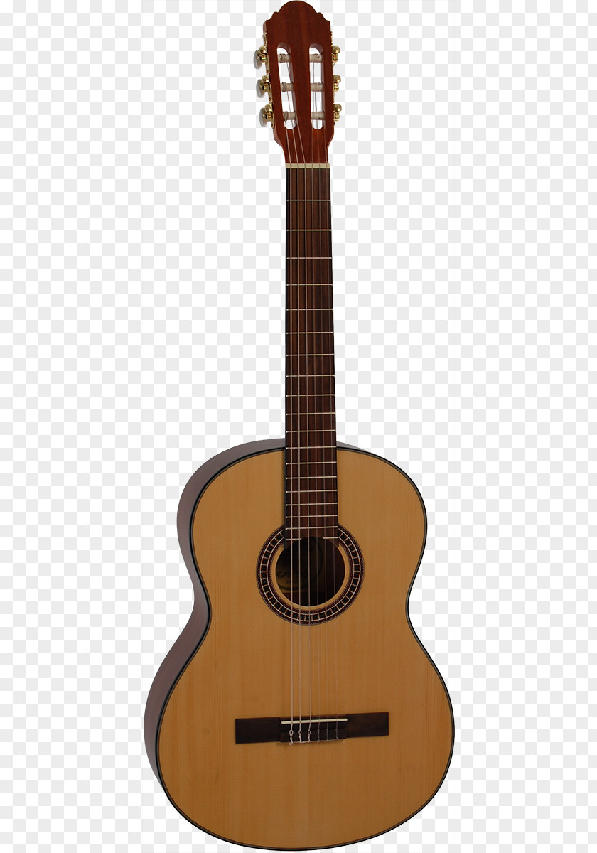 Guitar C. F. Martin & Company Acoustic Ukulele Acoustic-electric PNG