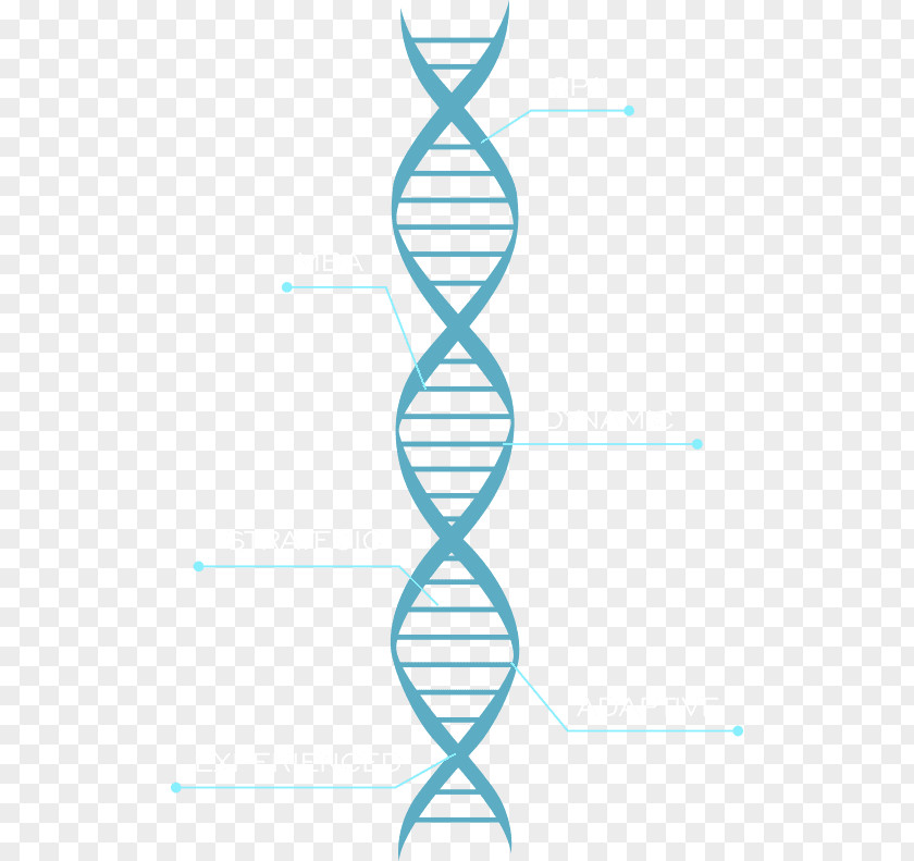 Long Addition Problems Solutions Molecular Models Of DNA Chromosome Nucleic Acid Double Helix Vector Graphics PNG
