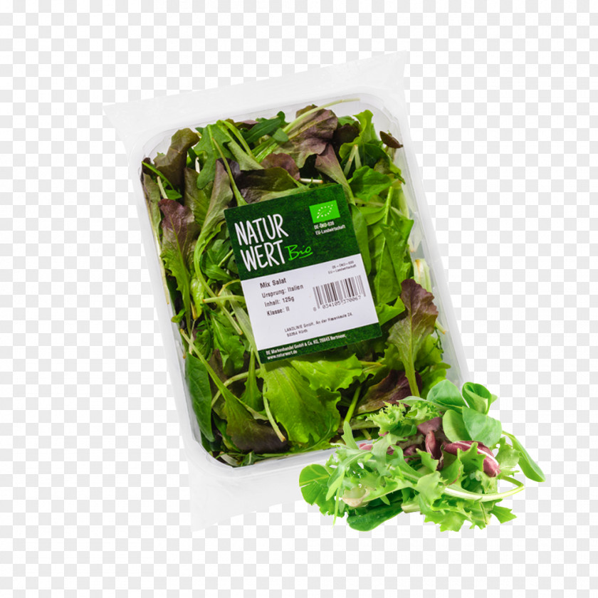 Salad Romaine Lettuce Organic Food Caesar Bildtafel Obst Und Gemüse PNG