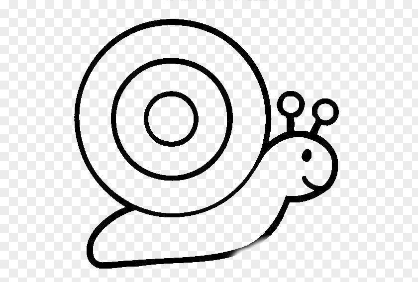 Stick Figure Cartoon Snail Drawing Ciclavia PNG