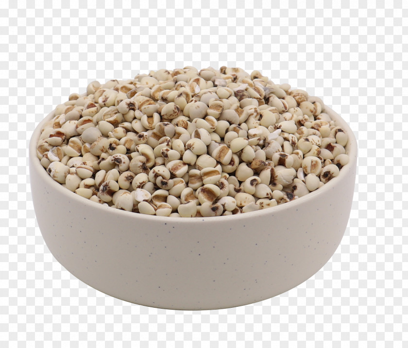 Barley Kernel Adlay Cereal Organic Food PNG