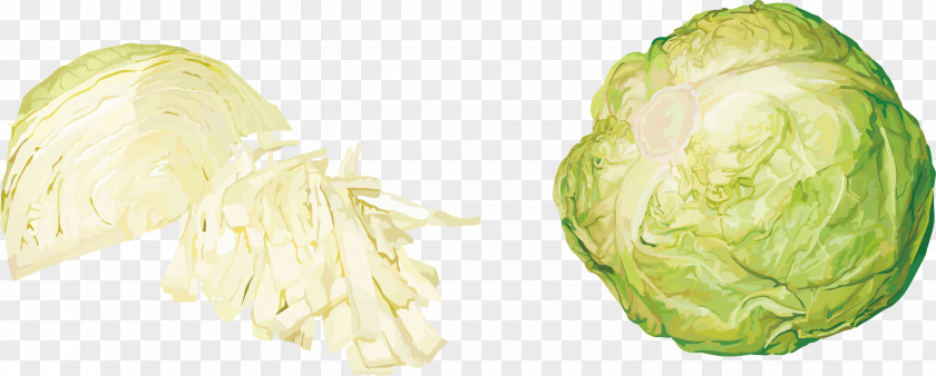 Cabbage Vegetables Red Cauliflower Vegetable PNG