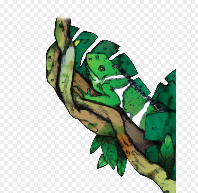 Frog Toad Tree Reptile PNG