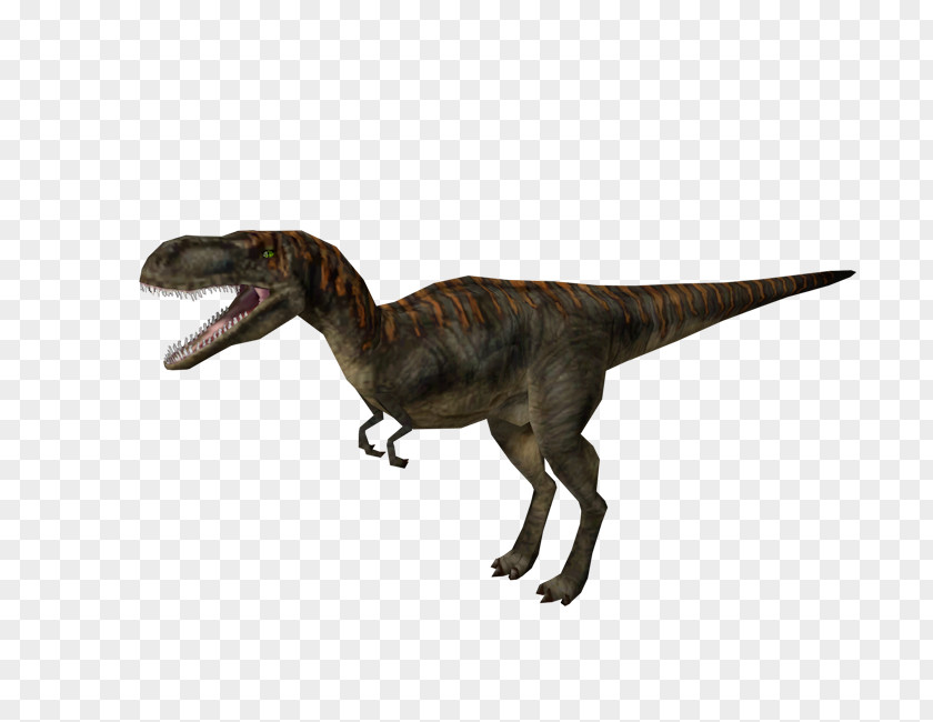 Jurassic Park Park: Operation Genesis Velociraptor Albertosaurus Tyrannosaurus Video Game PNG