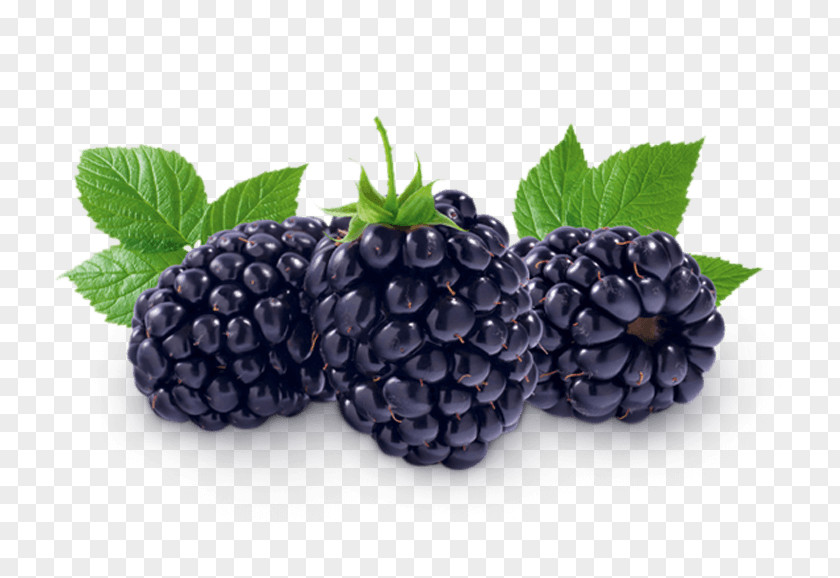 Blueberry Boysenberry Fruit Dewberry Auglis PNG