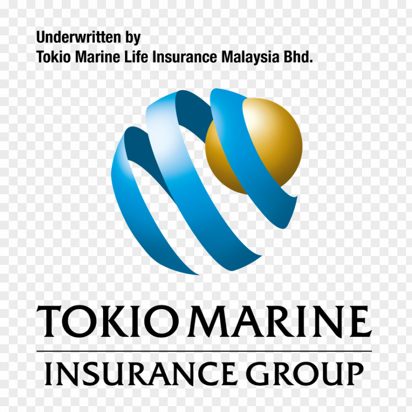 Business Tokio Marine Holdings Life Insurance Nichido HCC PNG