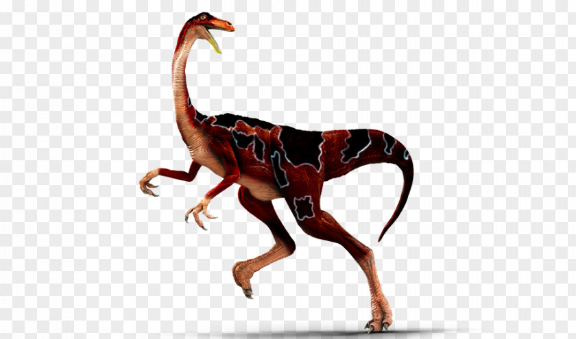 Dinosaur Gallimimus Apatosaurus Metriacanthosaurus King Tyrannosaurus PNG